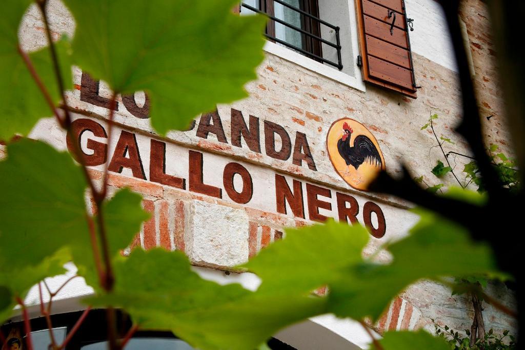 Al Gallo Nero Borgoricco Dış mekan fotoğraf